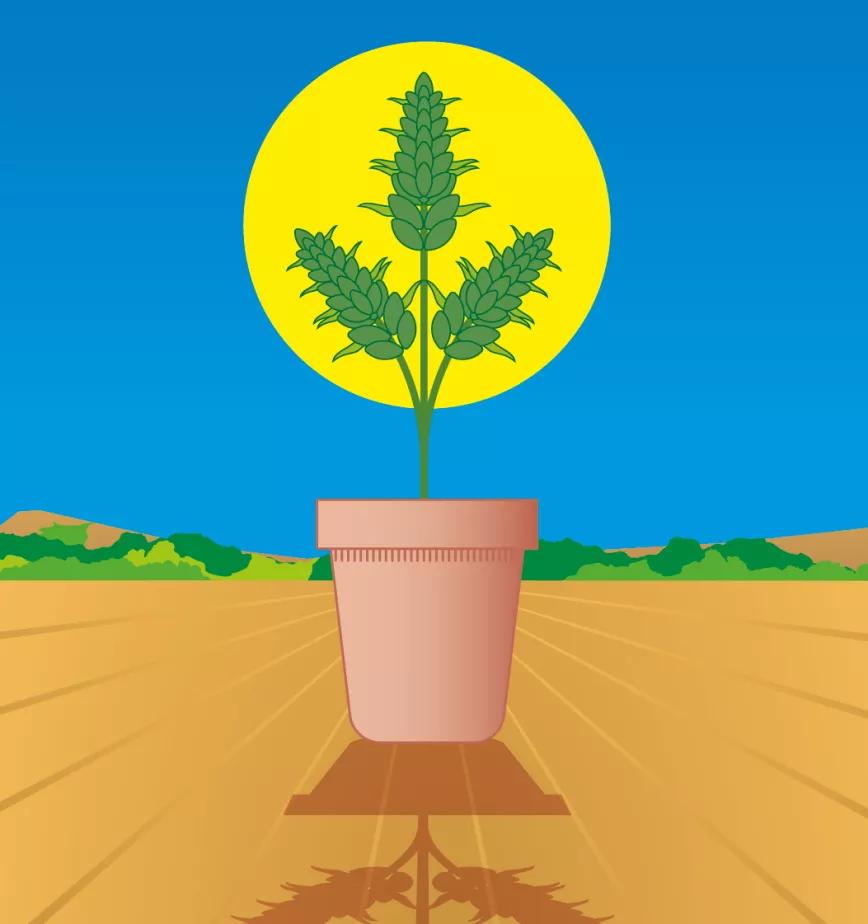 Lunario de septiembre 2021