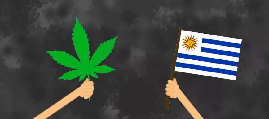 Fechas de plantación y cosecha en Uruguay