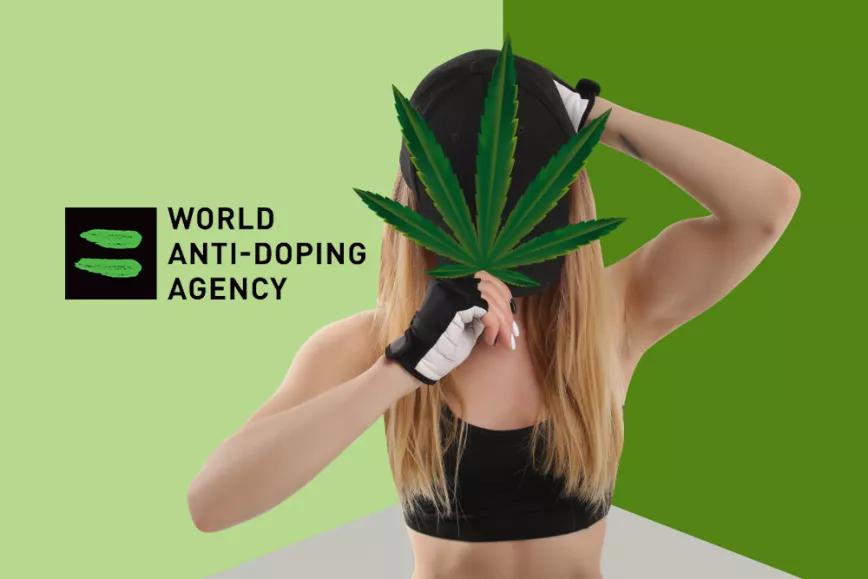 La Agencia Mundial Antidopaje reconsiderará la prohibición de la marihuana en el deporte