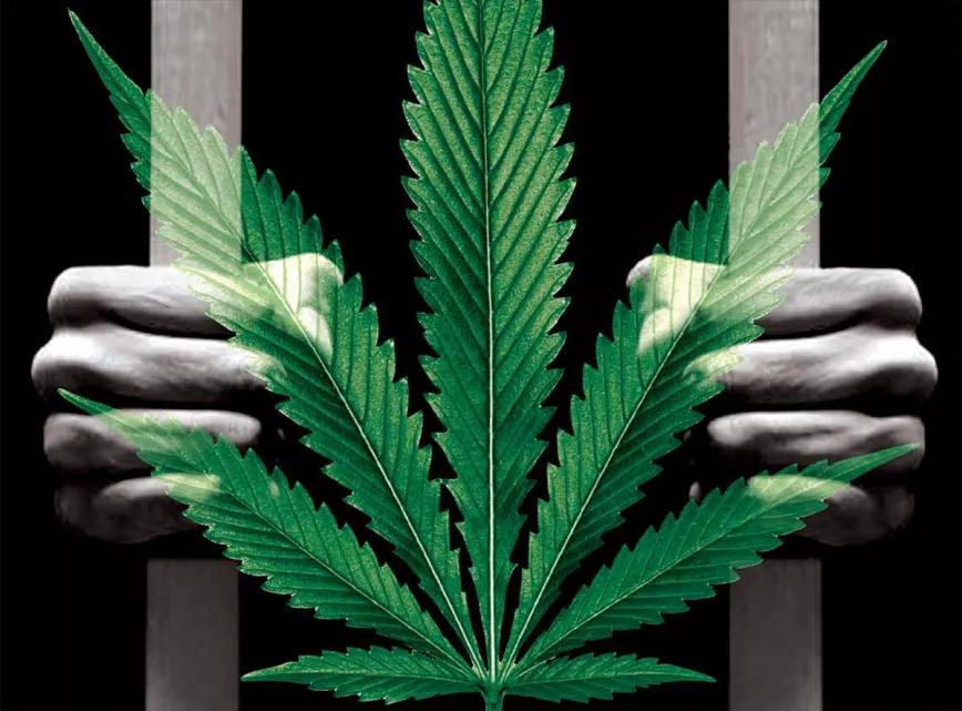 150 famosos atletas, políticos y artistas de EE UU piden a Biden el indulto para los presos por marihuana