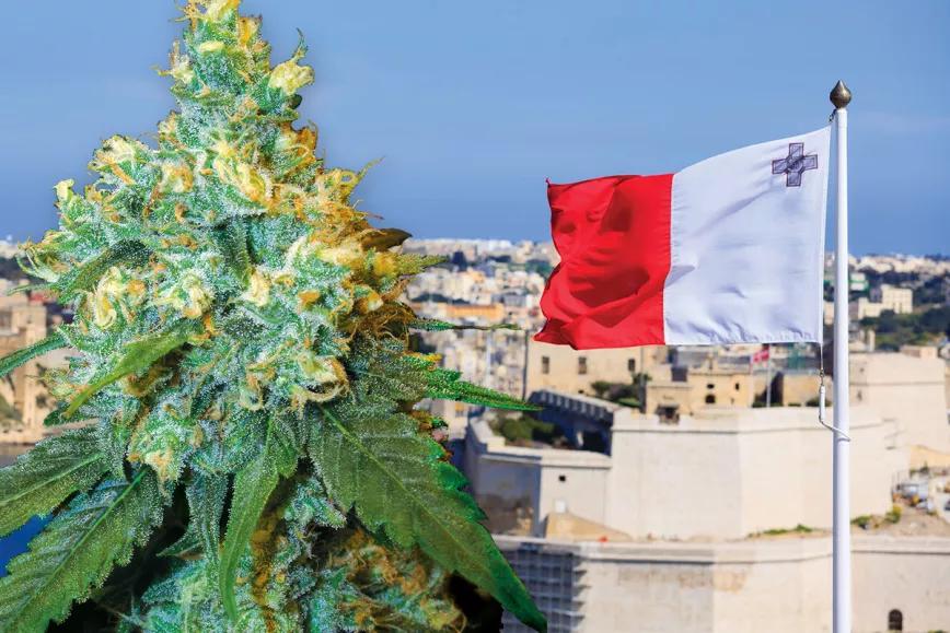 Malta anuncia la legalización del autocultivo y los clubs de cannabis 