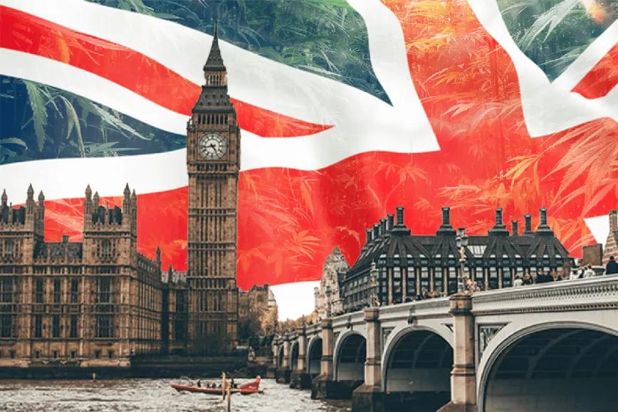 El Parlamento británico debate mejorar el acceso al cannabis medicinal