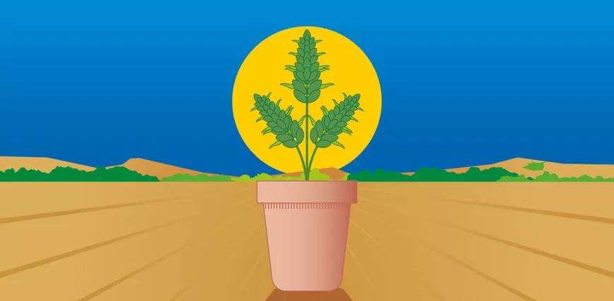 Lunario de noviembre 21