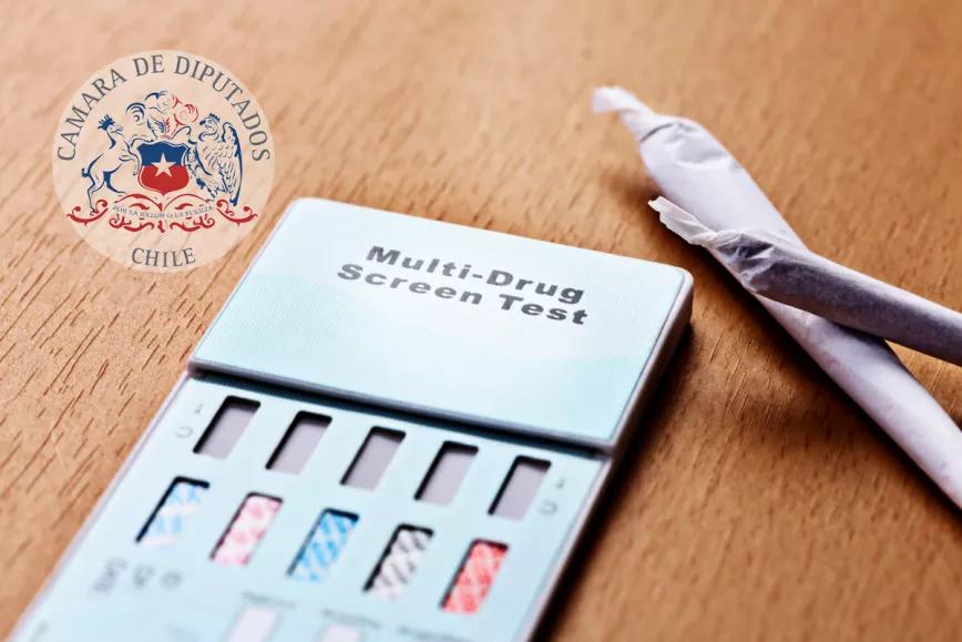 La Cámara de Diputados de Chile aprueba hacer tests antidrogas a los parlamentarios