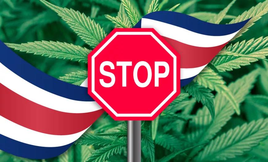 El Gobierno de Costa Rica excluye la regulación del cannabis de la agenda legislativa