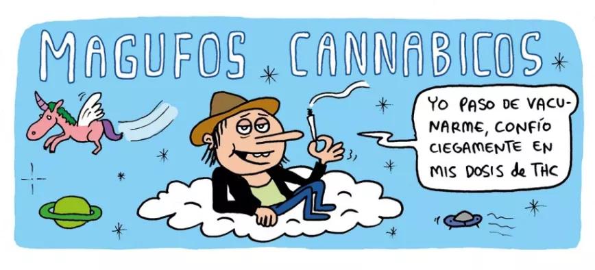 Magufos cannábicos