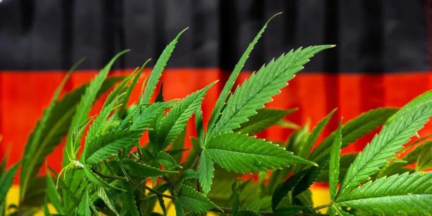 El futuro Gobierno de Alemania pacta la legalización del cannabis