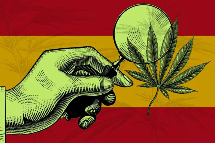La subcomisión sobre el cannabis medicinal se prepara a fuego lento y con muchas incógnitas por delante 