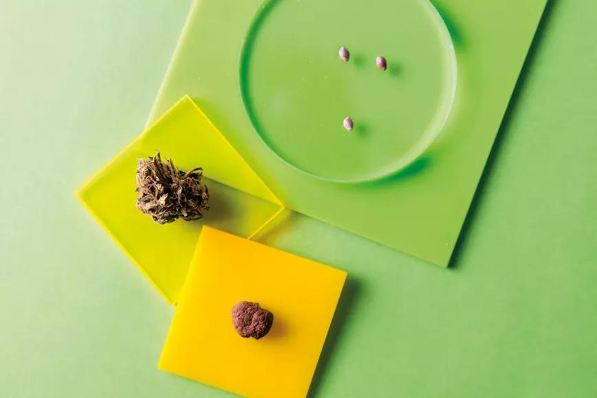 ¿Drogas naturales de producción ética? 