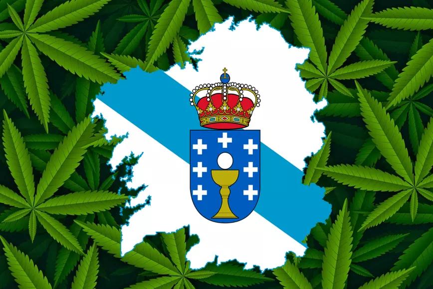 La Fundación Galega contra o Narcotráfico y el PP gallego apoyan la regulación medicinal del cannabis