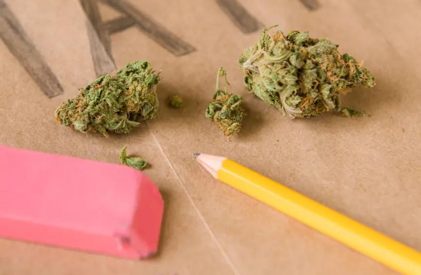 El consumo de cannabis entre adolescentes descendió significativamente en EE UU durante 2021