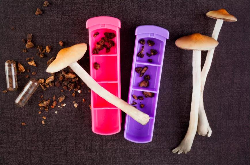 Canadá permite a otros tres pacientes acceder a tratamientos con psilocibina