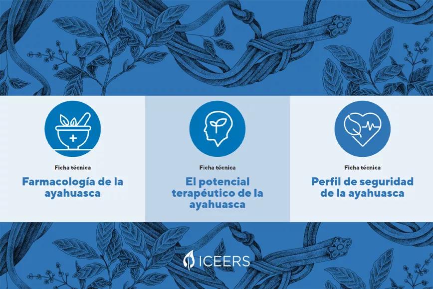ICEERS publica un informe técnico sobre la ayahuasca que actualiza la información disponible