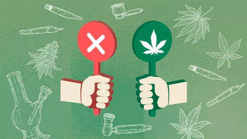El salvavidas del cannabis medicinal es el recreativo