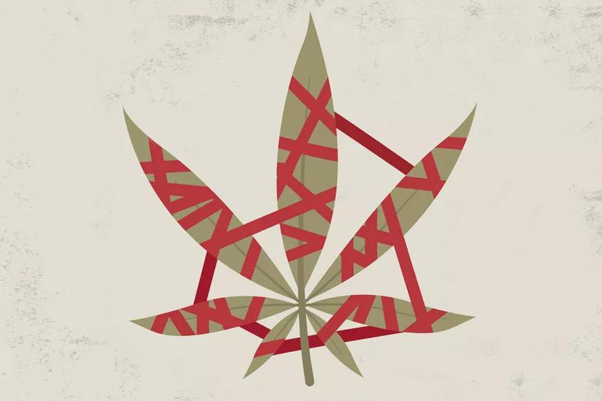 Entre progresistas, prohibicionistas y oportunistas