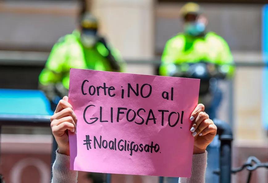 La Corte Constitucional de Colombia frena el intento del Gobierno de retomar las fumigaciones con glifosato