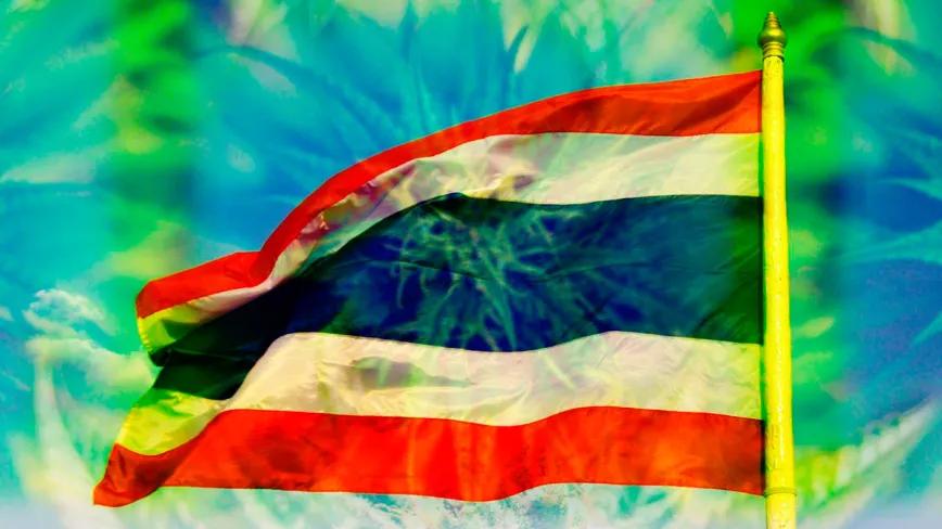 El Gobierno de Tailandia ya está pensando modelos para regular el cannabis recreativo