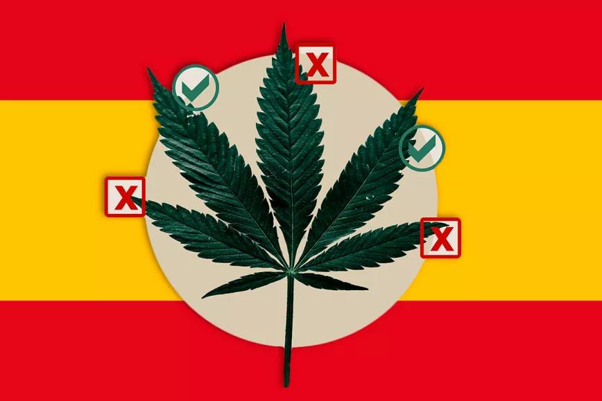 La Subcomisión del cannabis medicinal se reunirá cada dos semanas para tener un informe de regulación en junio