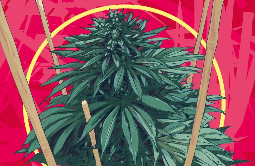 Se doblan por el peso