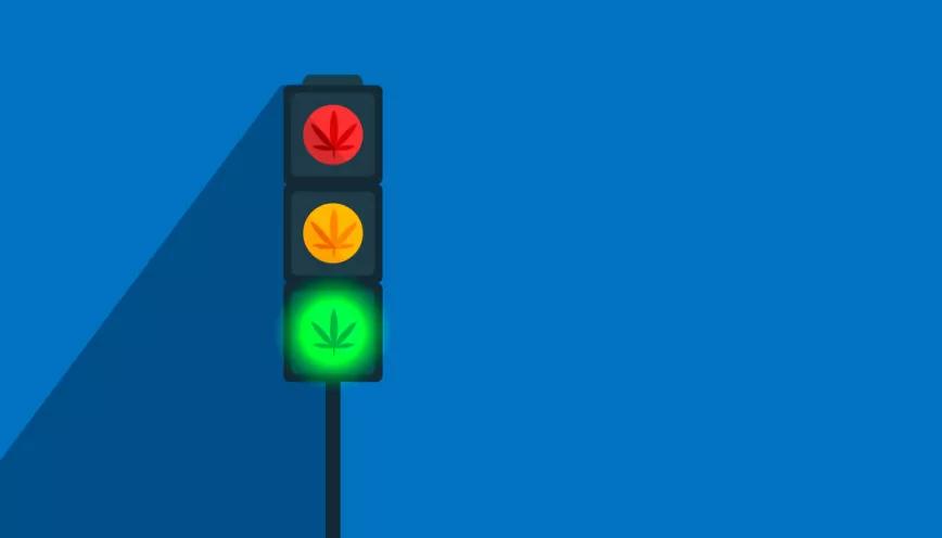 La subcomisión arranca con visiones contrapuestas sobre el cannabis medicinal 