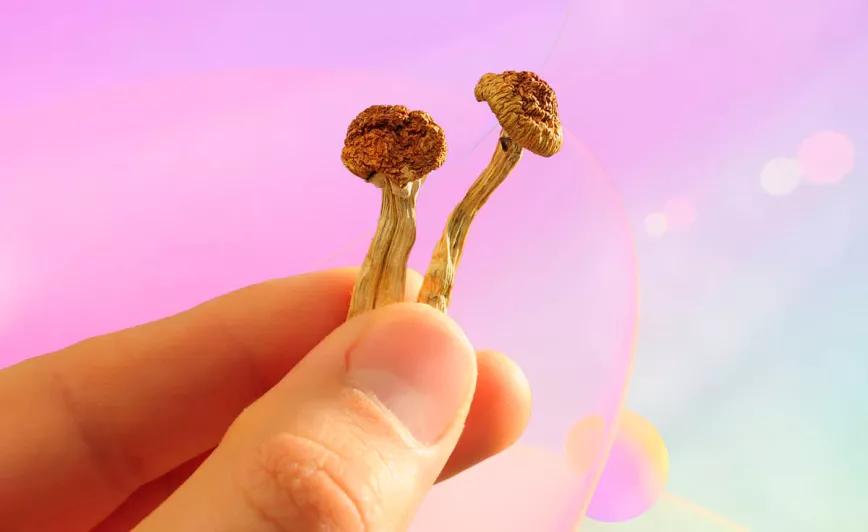 Pacientes y médicos piden la reclasificación de la psilocibina en Reino Unido