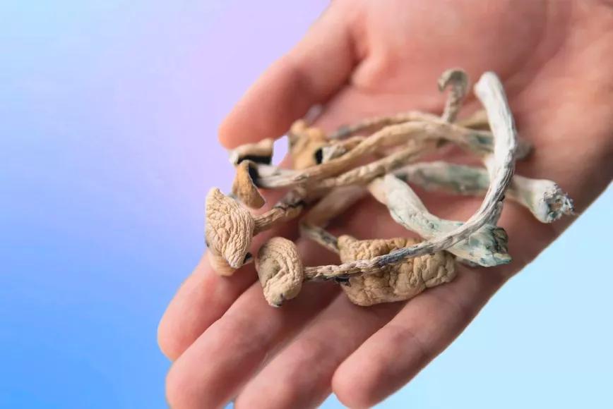 Los legisladores de Oklahoma y Hawai aprueban medidas para permitir el acceso a la psilocibina