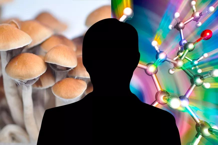 Dimite el presidente de la Junta de la Psilocibina en Oregón por sus intereses comerciales en la industria