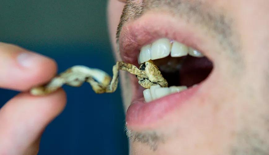 Los colocones psiquedélicos no serán perseguidos por la policía de esta ciudad