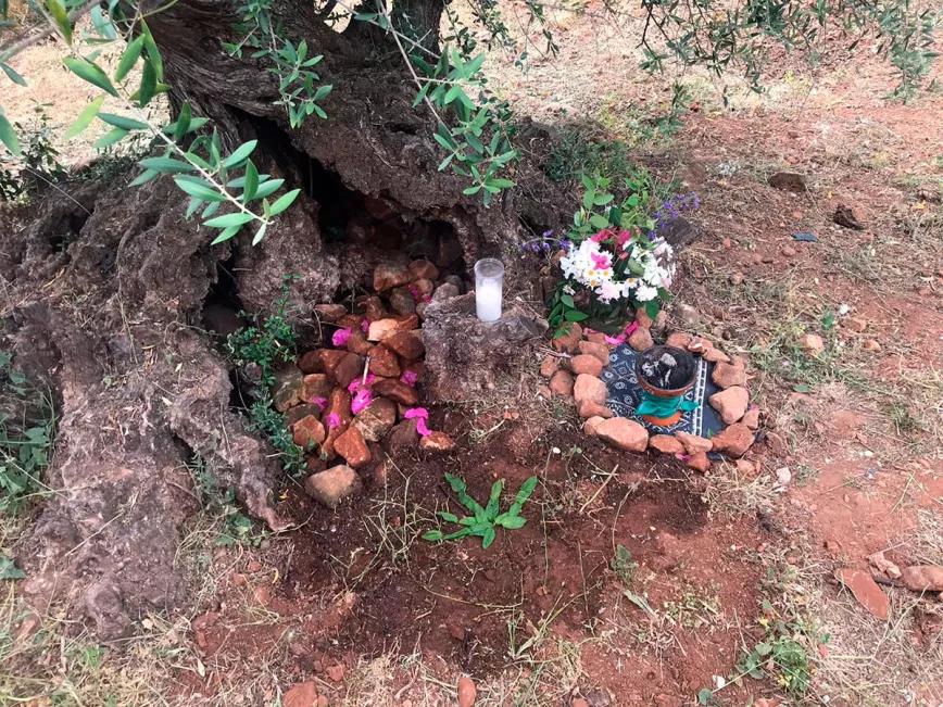 Homenaje a Fernanda de la Figuera: serás marihuana eternamente 