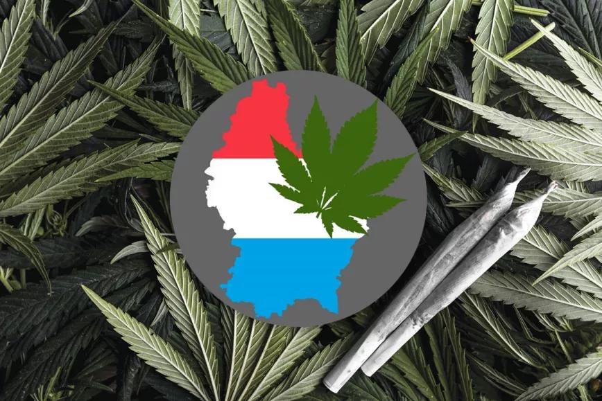 El Gobierno de Luxemburgo da luz verde a la legalización del cannabis