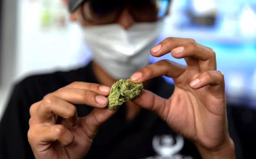 Tailandia ajusta la ley tras los primeros días de despenalización 