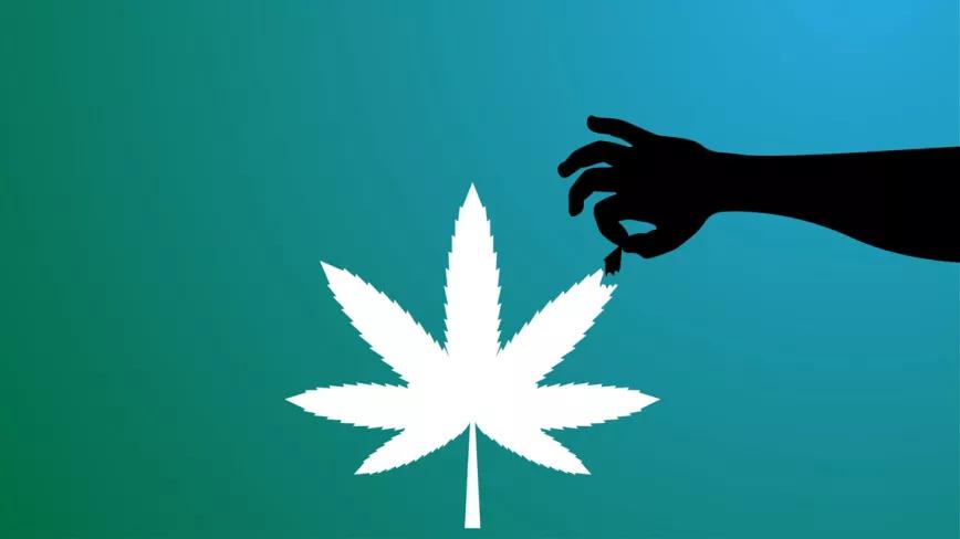 ¿Tendremos que seguir desobedeciendo?