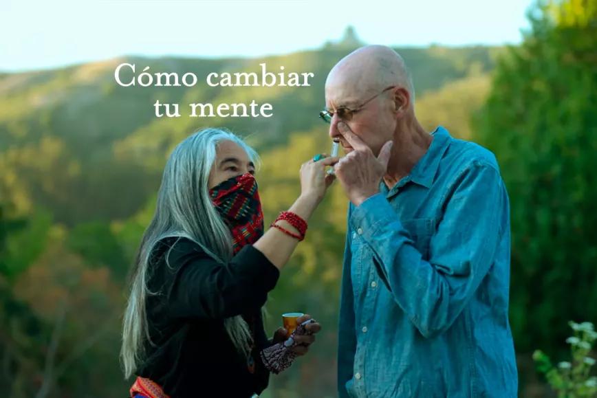 Psicodelia terapéutica para las masas