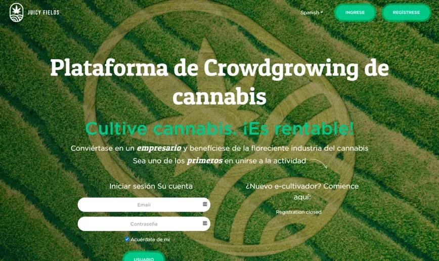 Una empresa de inversiones en cannabis desaparece con el dinero de sus inversores