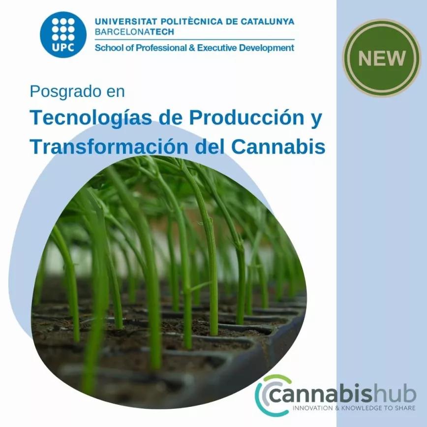 El primer posgrado de cannabis en España empezará este otoño