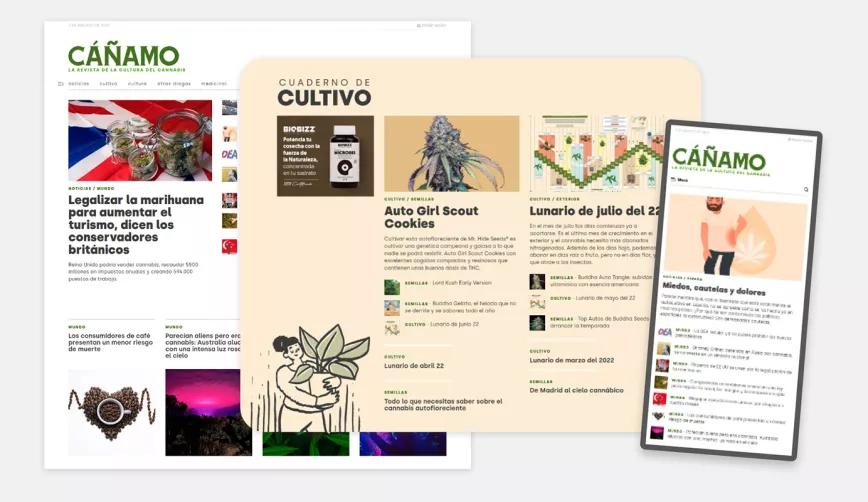 Cáñamo estrena su nueva web