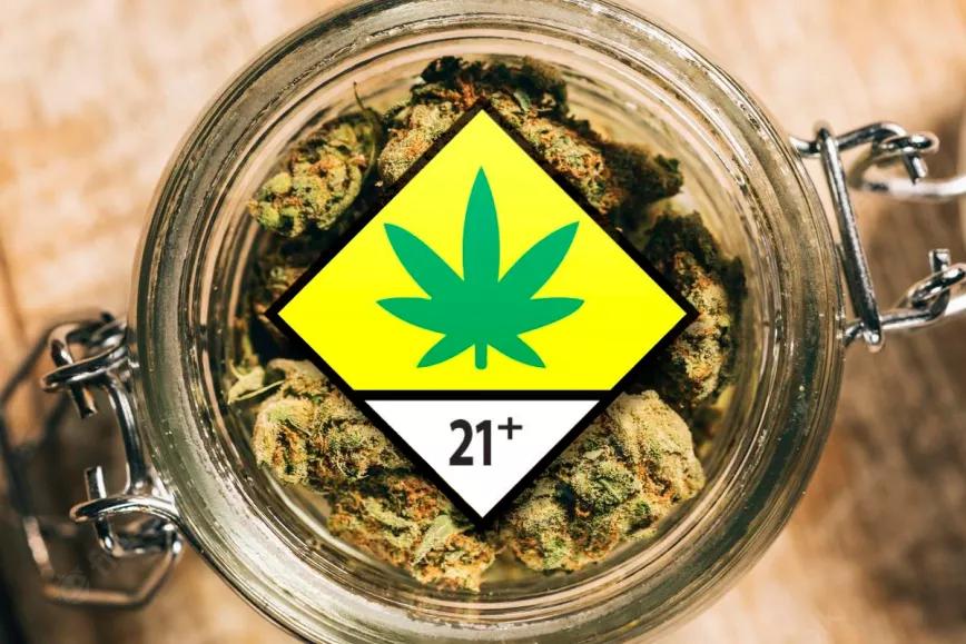 Legalizar el cannabis puede aumentar el consumo en adultos, pero no en adolescentes