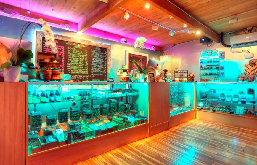 Pillan a la nuera de Joe Biden comprando marihuana protegida por el servicio secreto 