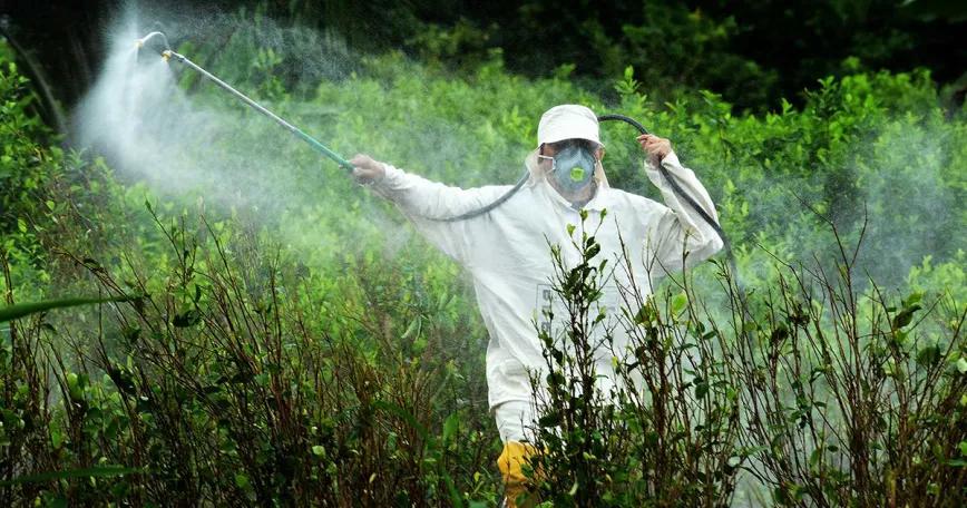 Colombia detiene las fumigaciones de cultivos de coca