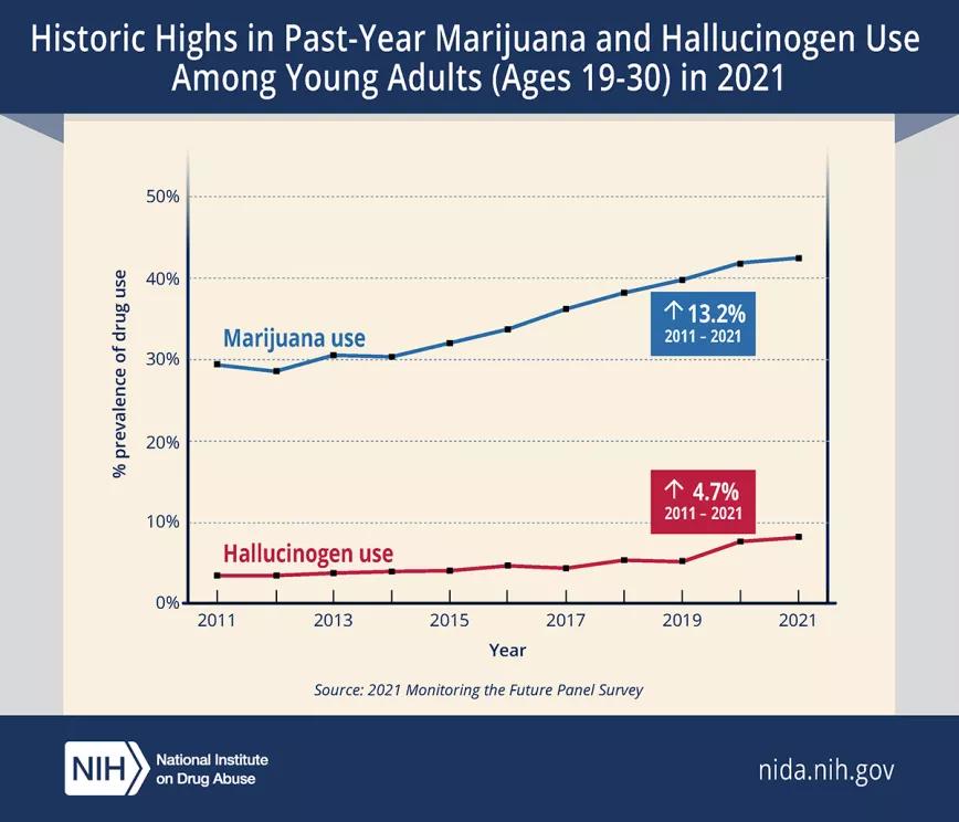 Récord de uso de cannabis y alucinógenos entre los adultos jóvenes de EE UU 