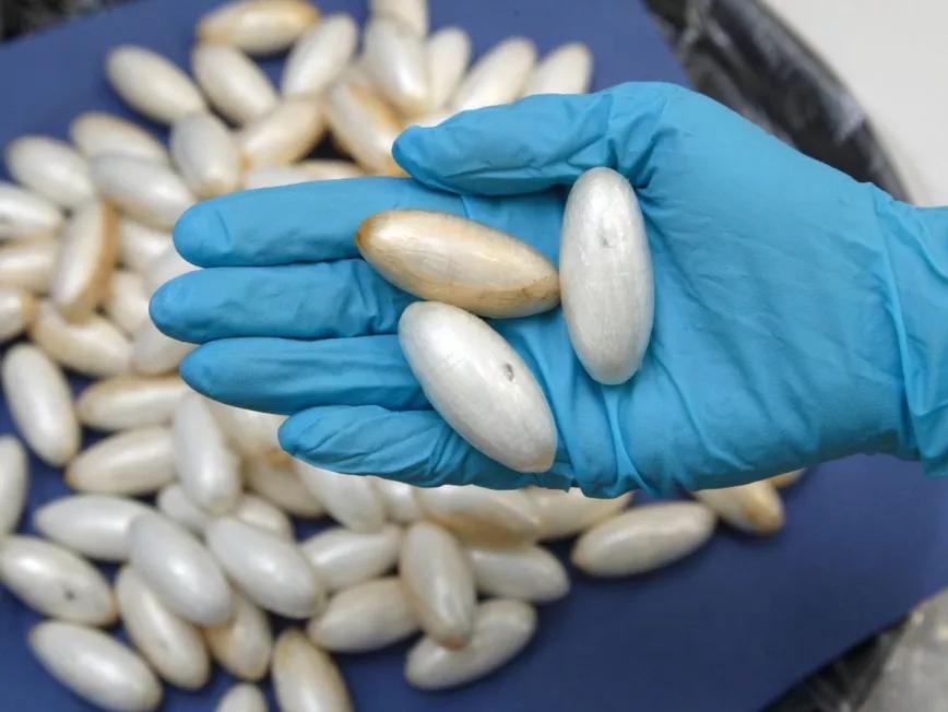 Guayana aplica una despenalización para el tráfico de cocaína 