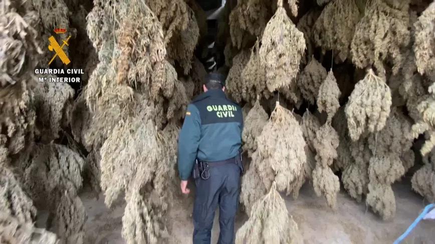 Era CBD pero la policía se llevó 8 toneladas e intervino la empresa 