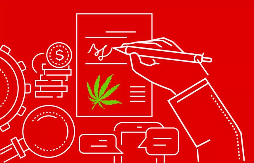 Canadá inicia la revisión de la ley que legalizó el cannabis