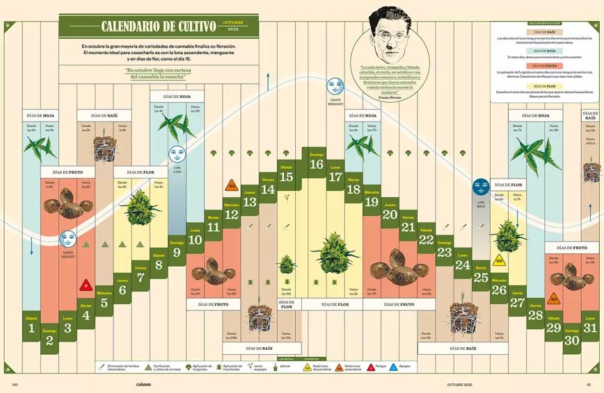 Calendario biodinamico octubre del 2022