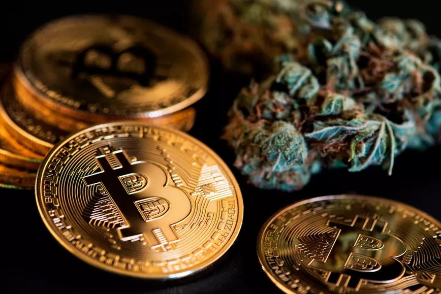 La Audiencia Nacional solicita la ayuda de la EUROPOL para el caso Juicy Fields