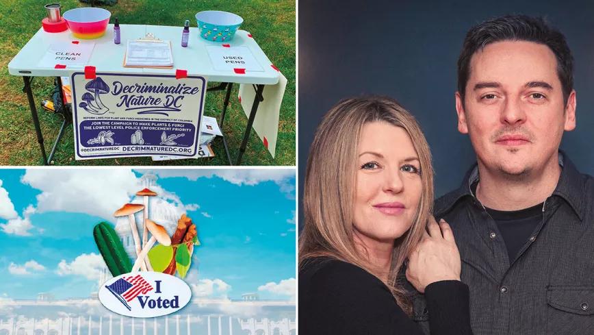 La trastienda del renacimiento psicodélico