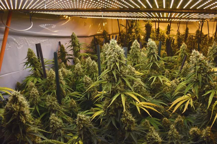 Conceptos clave en la iluminación con led del ‘indoor’ 