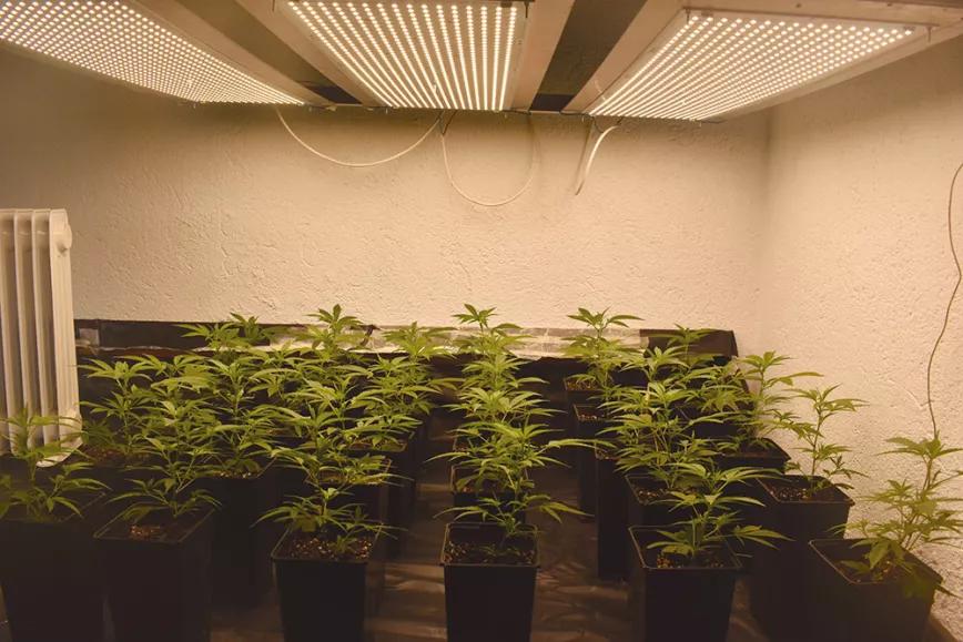 Conceptos clave en la iluminación con led del ‘indoor’ 