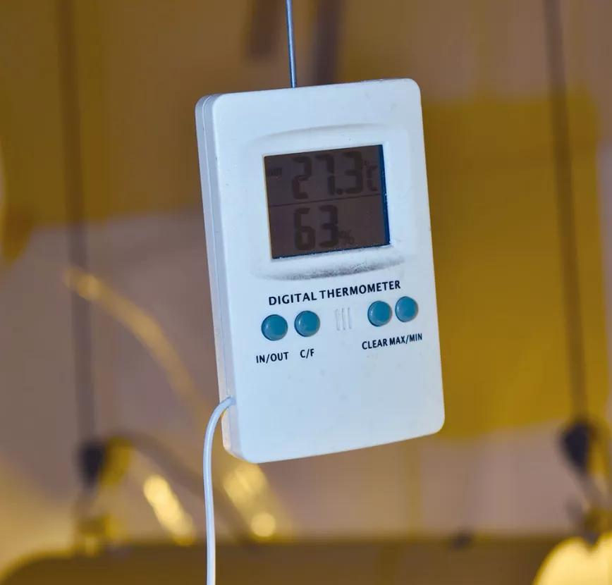 Diez pasos para empezar a cultivar con un kit de interior