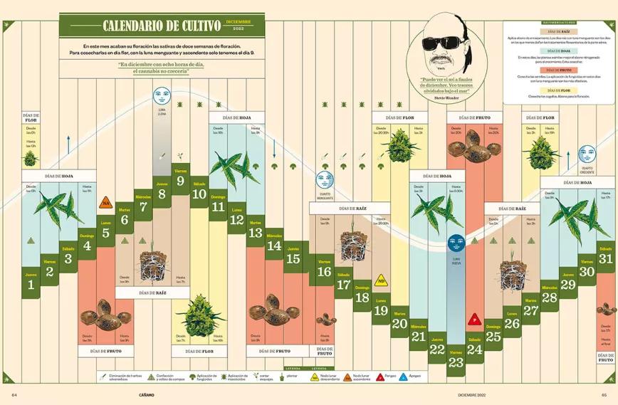 Calendario biodinamico diciembre del 2022